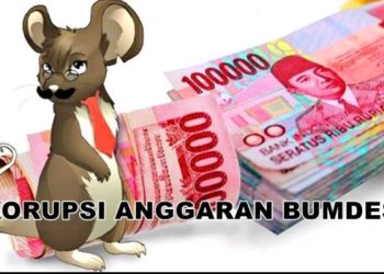 BUMDes Sewa Tanah Bengkok Milik Desa dipertanyakan Aktivis