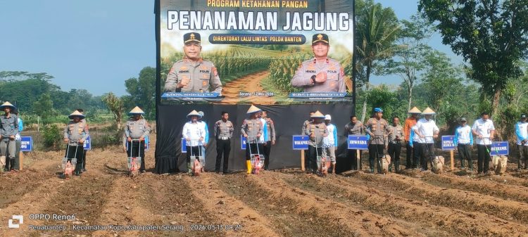 Kolaborasi Polda Banten dan Bulog: Ubah Lahan Mati Jadi Produktif Lewat Program Penanaman Jagung