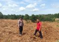 Dukung Asta Cita Presiden Polsek Munjul Turun Langsung ke Lahan Jagung