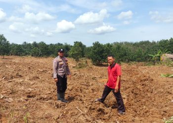 Dukung Asta Cita Presiden Polsek Munjul Turun Langsung ke Lahan Jagung